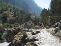 IMG_2181 - Copy